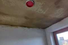 inbound3919353840431902179