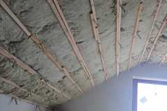 inbound6193769956444032878