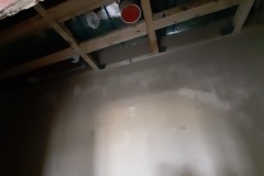 inbound8122478480027990774